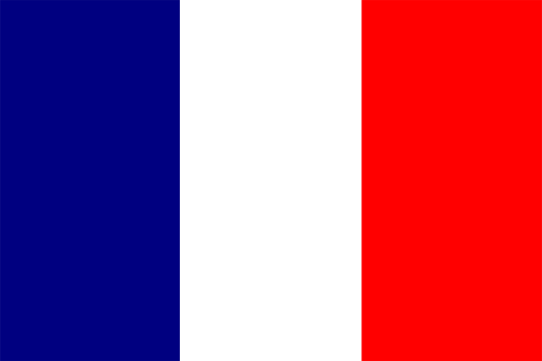 The flag of France with a red stripe on top right corner.