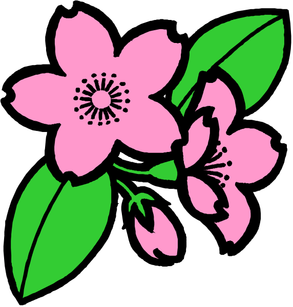 The image shows a pink flower with green leaves on it against a black background.