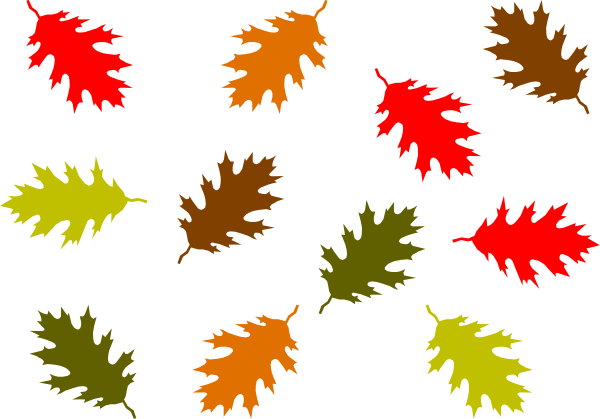The image shows a collection of autumn leaves with various shapes and sizes scattered across it against a dark background.