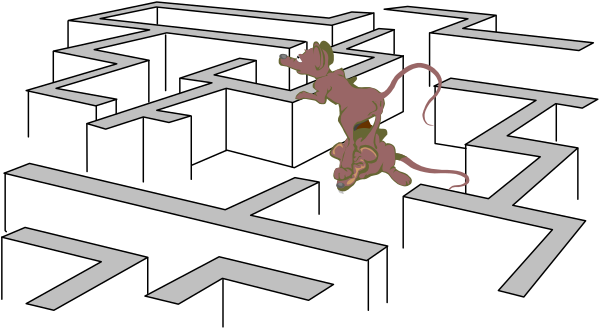 The image shows a black maze with white walls on a gray background.
