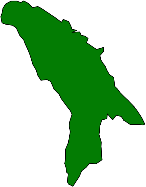 The image shows a stylized map of Florida with an outline that appears to be filled with green coloring.