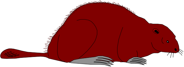 The image shows a red snake with its mouth open resting on top of an object that appears to be a book lying flat in front of it against what looks like a black background.
