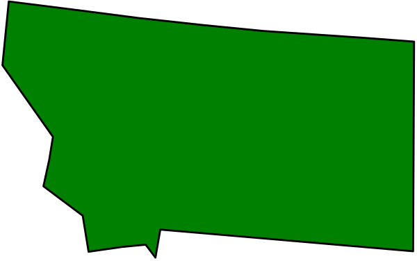The image shows a green outline of an irregularly shaped state with no internal details against a dark background.