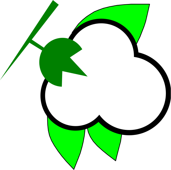 The image shows a white clover with green leaves on it against a black background.