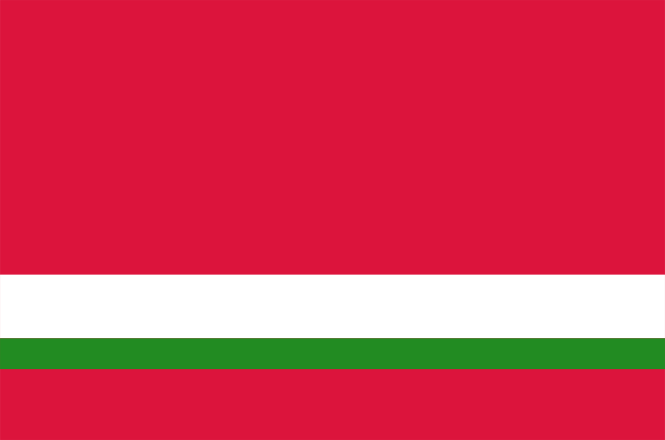 The flag of Romania with a pixelated effect on it.