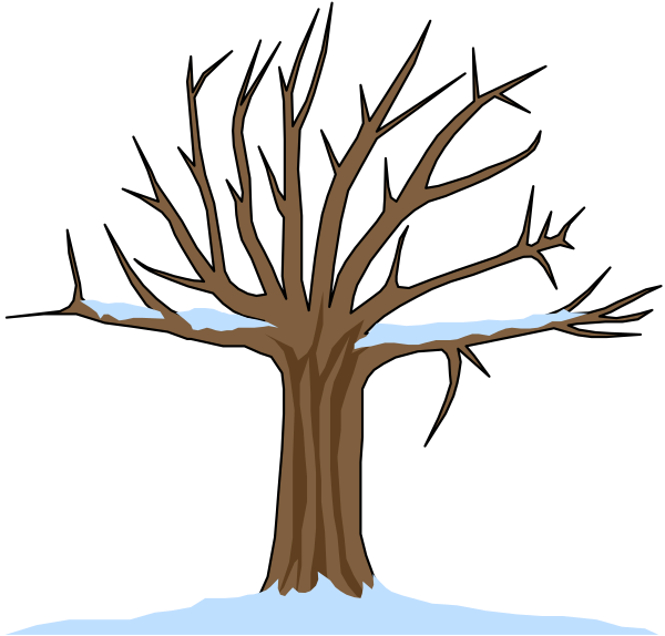 The image shows a tree with two trunks connected by roots that appear to be forming an ice formation around them at their base.