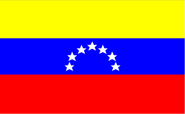 The flag of Venezuela with a pixelated effect on it.