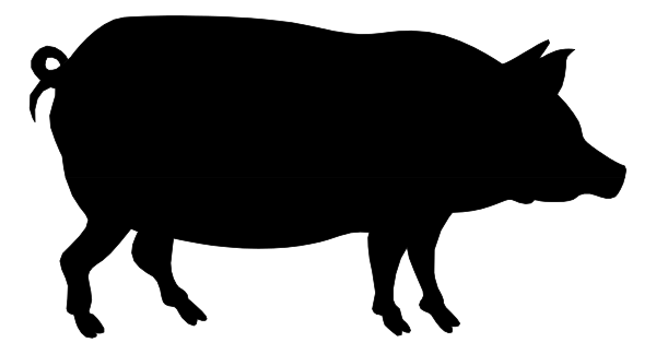 The image shows a gray background with black text that reads "1984."
