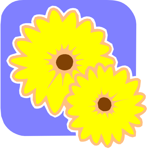 The image shows two sunflowers with their centers facing upwards against a blue background on top of each other.