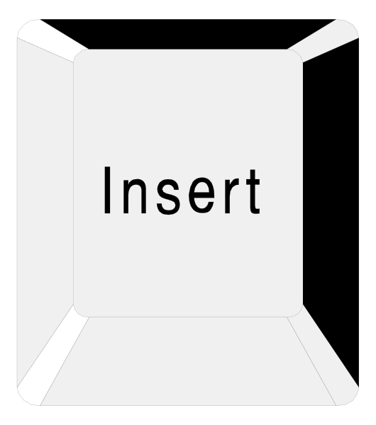 The image shows a computer icon for an "Insert" function with text that reads 'INSERT'.