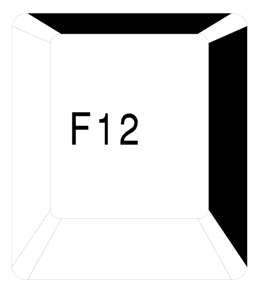 The image shows a black box with white text that reads "F12" on it against an indistinct background.