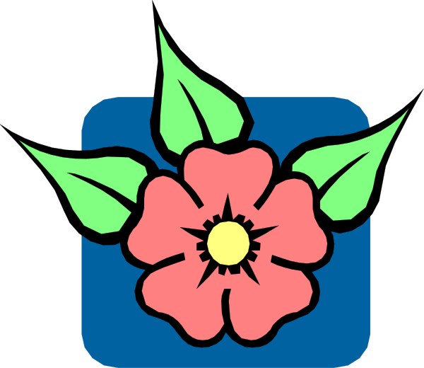 The image shows a stylized flower with leaves on it inside of an icon that resembles a square box within another larger rectangle shape against a blue background.