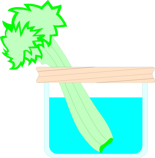 The image shows a cartoon of two celery stalks with green leaves placed upright inside what appears to be blue water in separate containers; one container is labeled "water" while another has no label but also contains clear liquid, suggesting it's meant for comparison or contrast between fresh and stale.