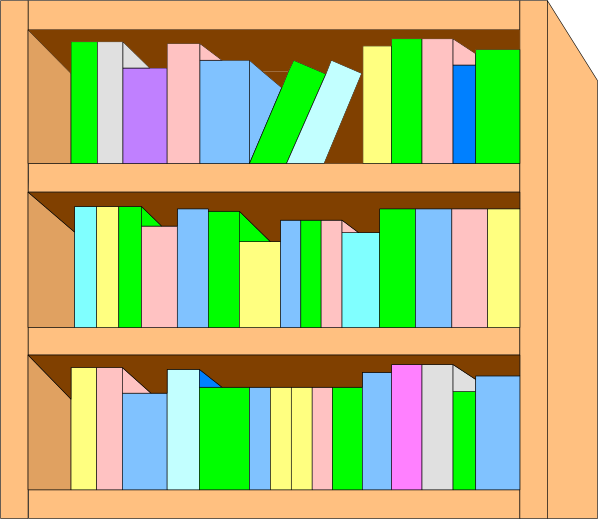 The image shows a bookshelf filled with colorful book spines against a light background inside what appears to be an interior room.