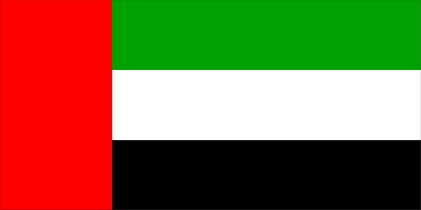 The flag of Qatar with a pixelated effect on it against a gray background.