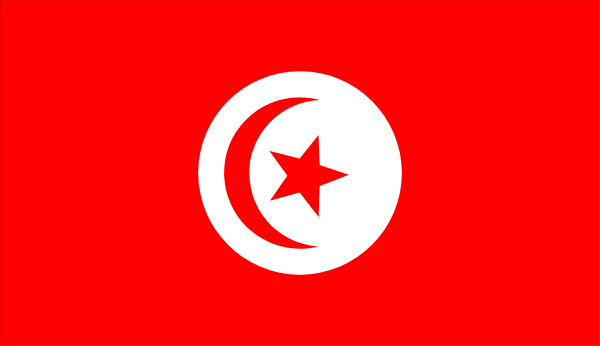 The flag of Tunisia with a red stripe on top right corner.