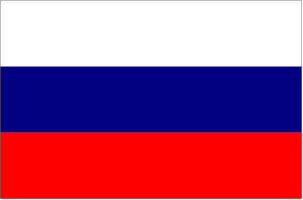 The flag of Russia with a pixelated effect on it.