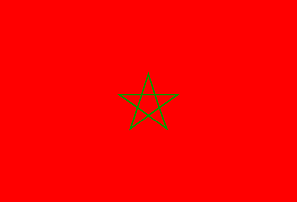 The flag of Algeria with a red stripe on top right corner is shown against gray background.