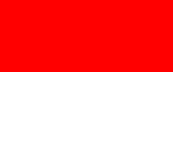 The flag of Indonesia with a red stripe on top right corner.