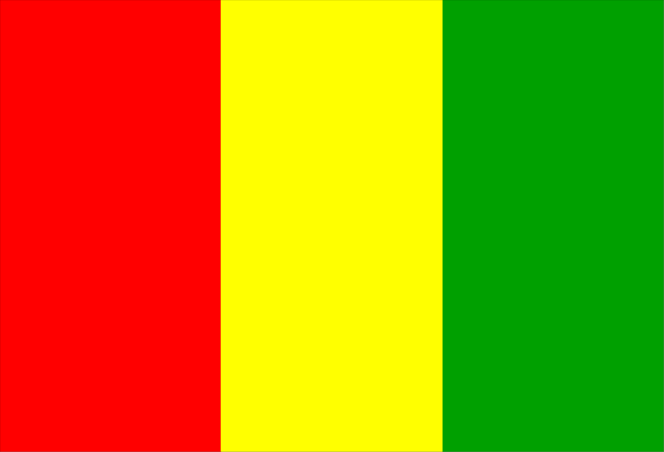 The image shows a colorful abstract design with red, green, yellow, blue, white, black, gray areas that resemble an electronic signal pattern on a dark background.