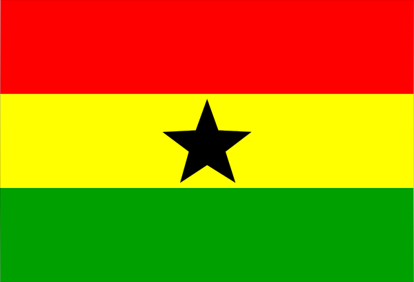 The flag of Nigeria with a smaller version of its neighboring country's flags on it.