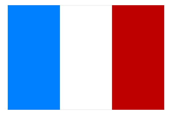 The image shows a pixelated representation of an old battery with red on top half and blue bottom half resembling French flag design.