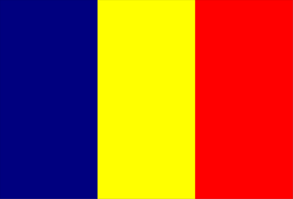 The image shows a stylized representation of an abstract flag with red, yellow, blue, white, black, gray, orange, green, purple, pink, brown, cream, tan, beige, maroon, and other shades in various patterns on it against a neutral background.