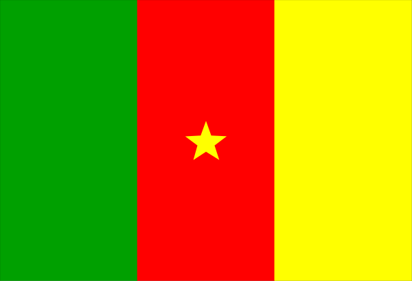 The image shows a stylized representation of three flags: red with white stars on top left corner (possibly representing Romania), yellow in center right (likely Ethiopia's flag) ,and green and blue stripes at bottom, which could be interpreted as either Ukraine or Moldova.