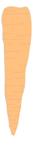 The image shows a carrot with an orange peel texture on it against a gray background.