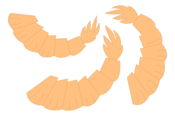 The image shows a black silhouette of an animal with multiple legs on its back against a white background.