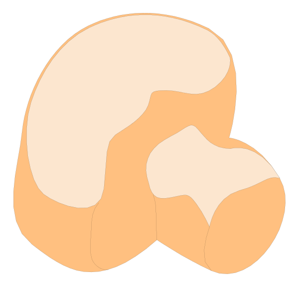 The image shows a cartoon of two orange slices with white centers placed next to each other on what appears to be an abstract background that resembles a black square.