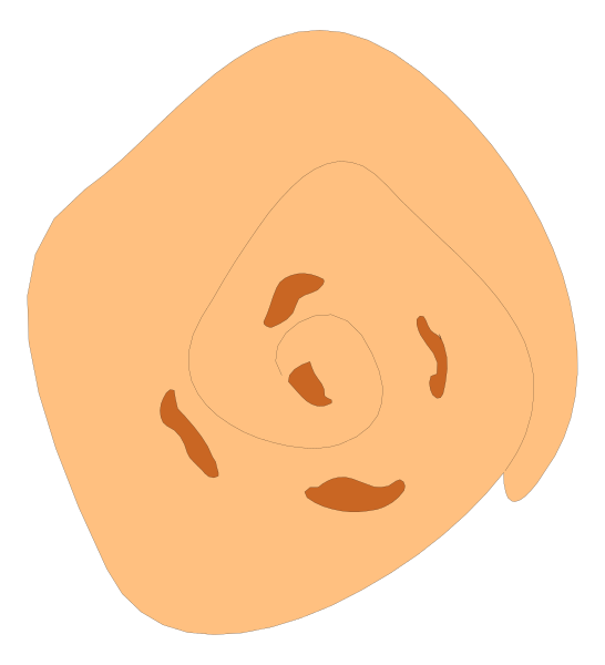 The image shows a simple line drawing of an abstract shape that resembles a face with two eyes on either side at the top and what appears to be a nose in between them below it.