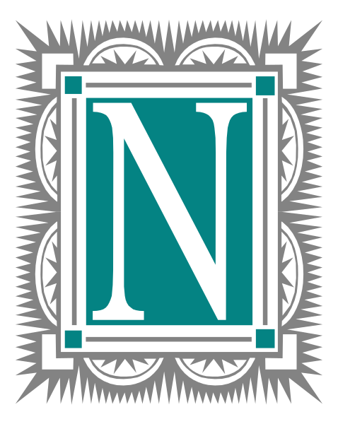 The logo of a news network with an emblem that includes letters "N" inside a shield shape on top left corner.