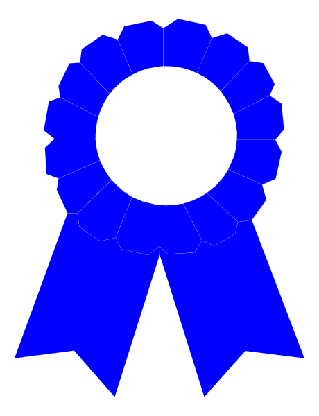 The image shows a blue ribbon with white text on it that reads "1st" above two crossed laurel leaves at its center; below this is another smaller ribbon in red coloring also reading "first."