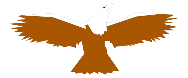 The image shows a stylized eagle with its wings spread out against an indistinct background.