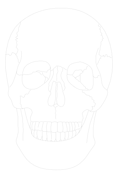 The black and white photo shows a skull with an open mouth against a dark background on the left side of the frame.