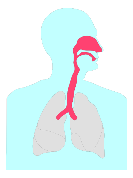 The image shows a cartoon of an adult male with his mouth open as if he is speaking or singing; there's no background detail provided in this description.