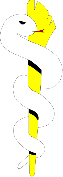 The image shows a stylized snake wrapped around an object that resembles a staff with wings on either side; it is set against a black background with white borders at top and bottom of each half.