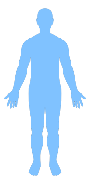 The image shows a blue silhouette of an adult human figure standing upright against a black background with no additional details provided about any other elements in this clip-art representation.