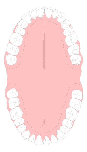 The image shows a closeup of an open mouth with teeth visible inside it against a black background.