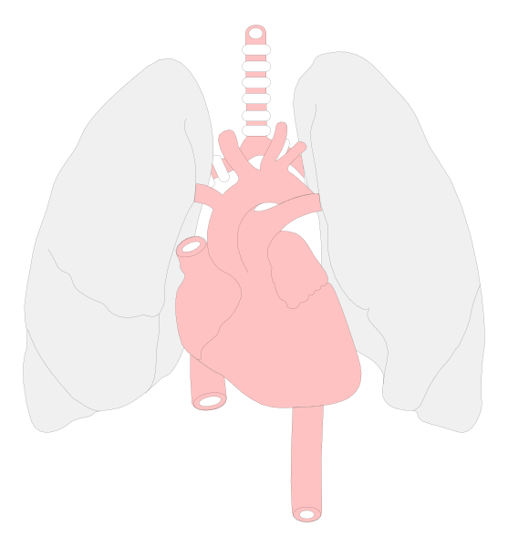 The image shows a simplistic illustration of an open human heart with its internal structure visible against a black background on the left side; to the right is another smaller graphic that appears to be a stylized representation, possibly indicating some form of connection between two entities or concepts but without clear context for their meaning.