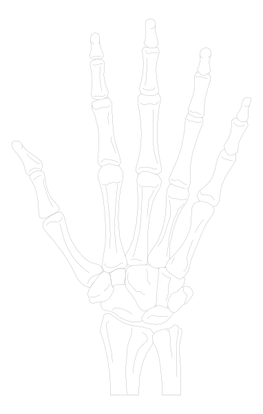 The black and white skeleton of a human hand with five fingers extended against a dark background.