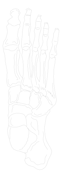The image shows a foot with five toes on each side of it against a black background.
