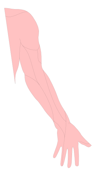 The image shows a black silhouette of an arm with two hands against a white background on the left side.