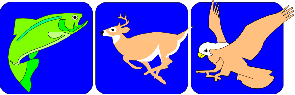 The image shows a banner with four different scenes: on top left there is an illustration of two fish; bottom right features three birds in flight against a blue sky background; middle left depicts a green frog and red toad sitting next to each other, both facing forward; and the center scene displays a brown bird perched atop another smaller one.