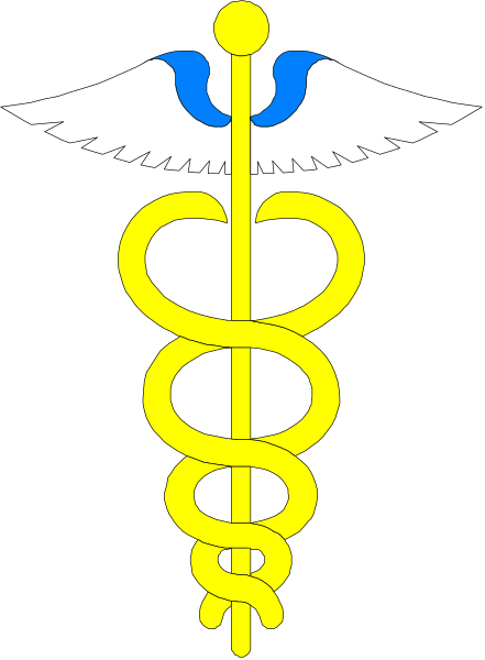 The image shows a stylized graphic of an emblem with medical cross symbolizing healthcare services on top left corner; in center is a snake wrapped around staff held by rodent-like creature resembling asps, and below it is caduceus (staff) entwined with serpent.