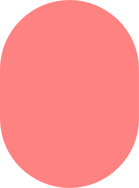 The image shows a red circle with no other discernible elements present within it.