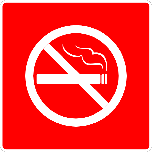 The image shows a red sign with white text that reads "No smoking" inside of it.