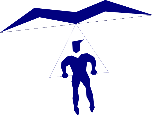 The image shows a black silhouette of an athlete with three wings on its back against a dark background.