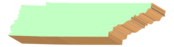 The image shows a green object with two brown stripes on it against an indistinct background.